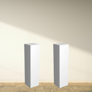 Plinth Pair – Stylish & Durable Display Stands